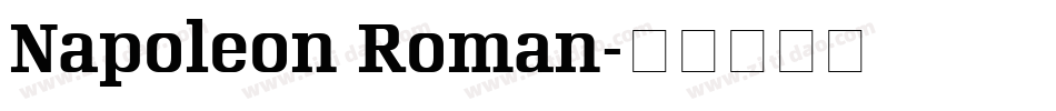 Napoleon Roman字体转换